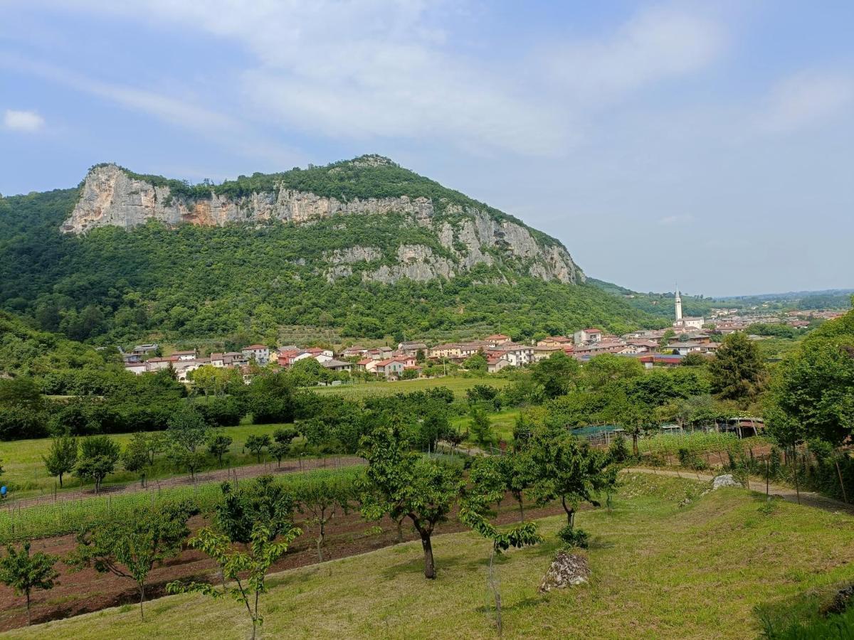 Boutique Apartment Alla Dolce Vita Vicenza Zewnętrze zdjęcie
