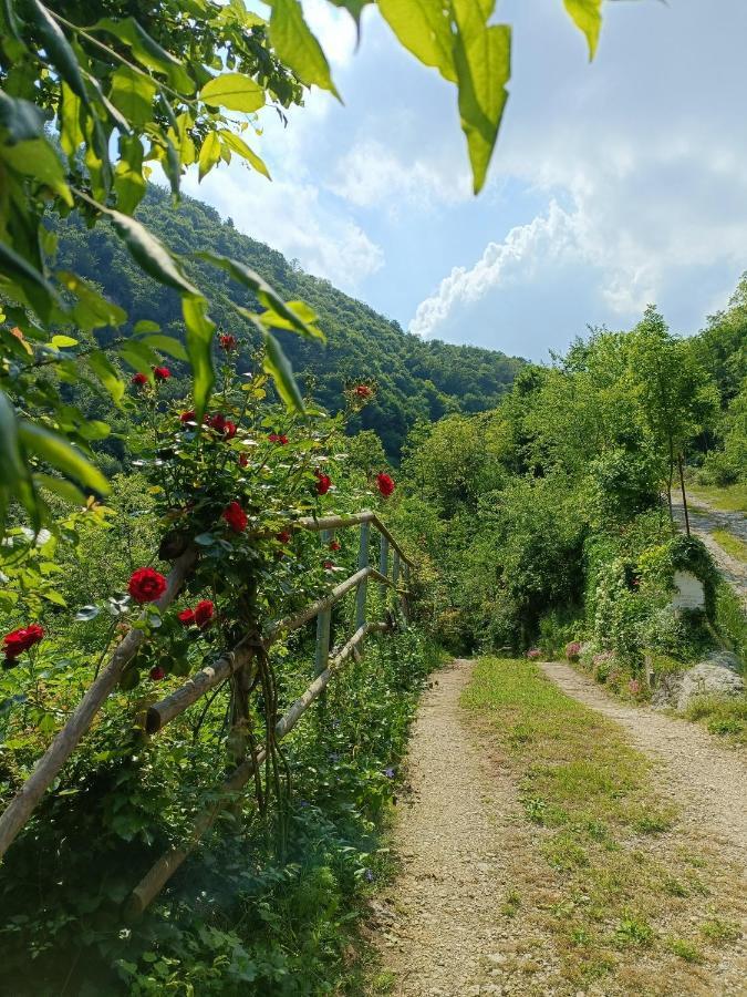 Boutique Apartment Alla Dolce Vita Vicenza Zewnętrze zdjęcie